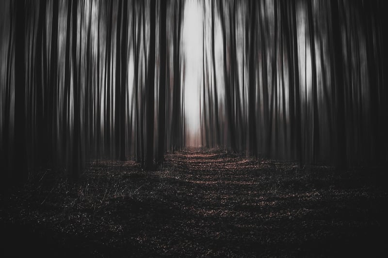 Mysterious Shadows